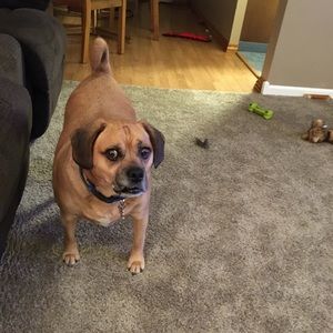 Meet your Posher, Staci